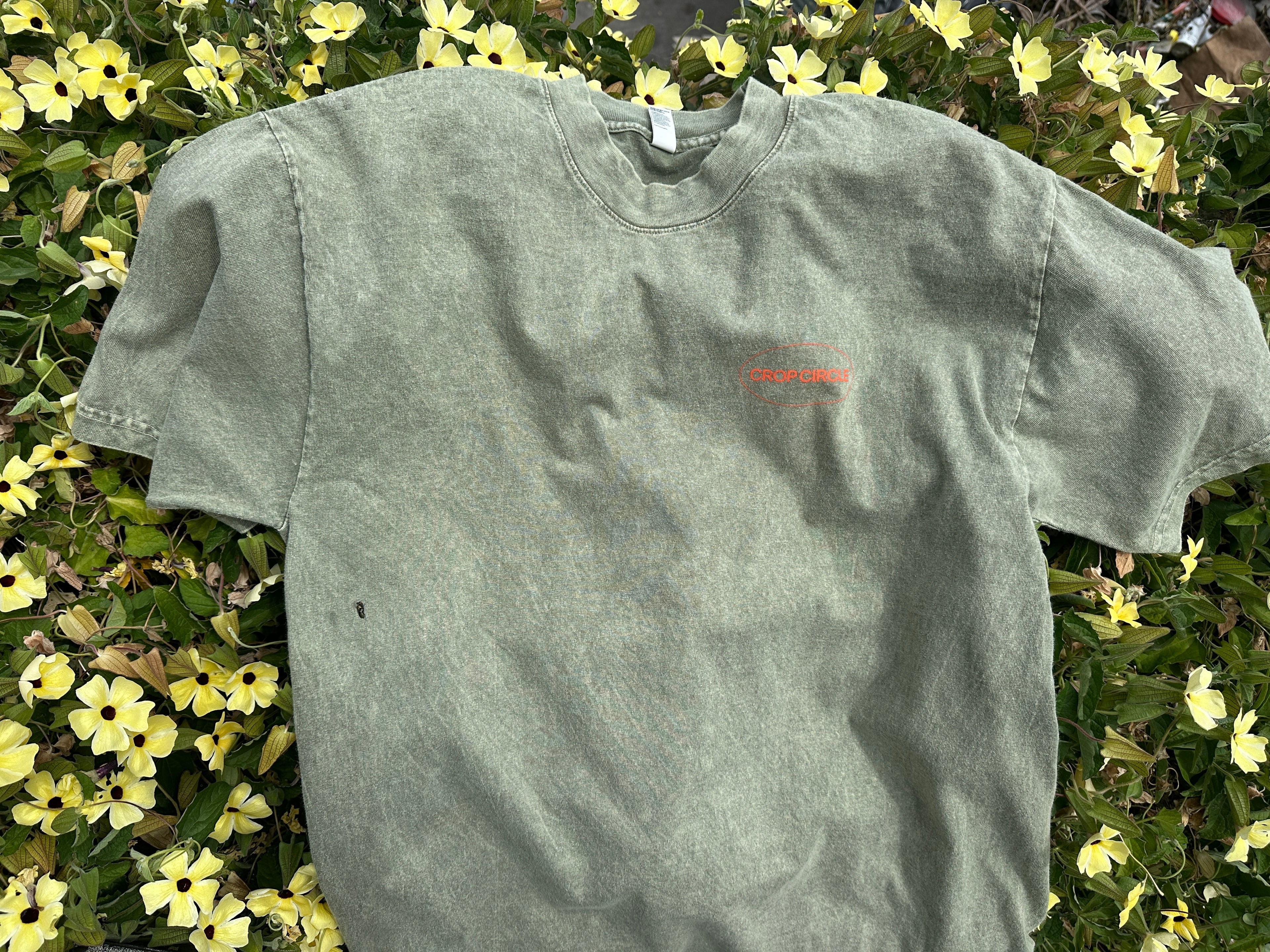 Matcha Green and Orange Front